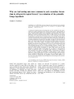 OIKOS92169177Copenhagen2001Whyareleafcuttingantsmorecommoninearlyseco