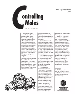 Mole moundsand burrow systemsCover pasturegrasses andlegumes reducingp