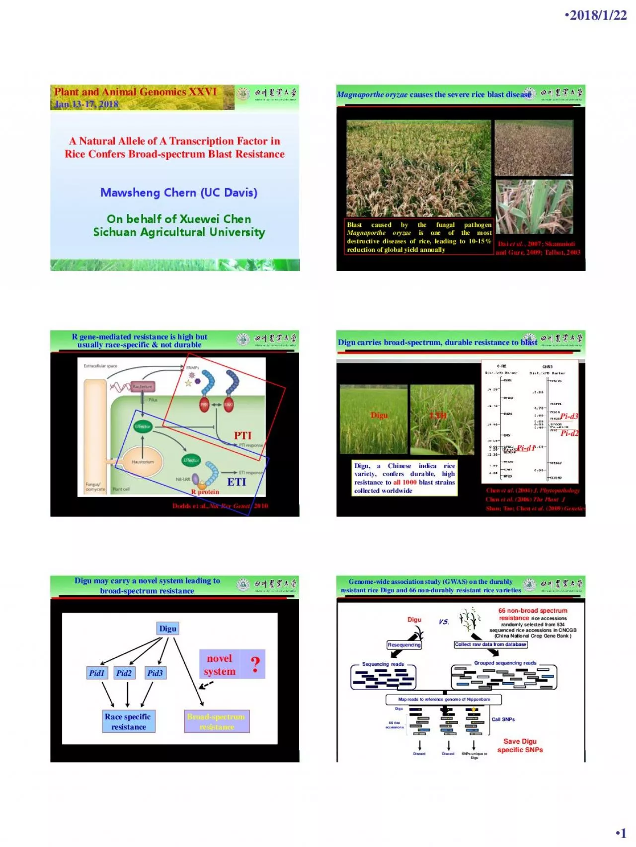 PDF-A Natural Allele of A Transcription Factor