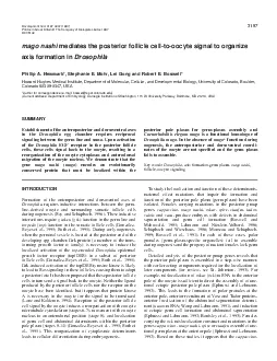 PDF-mago nashi spire and staufengene products play a role in theposterior