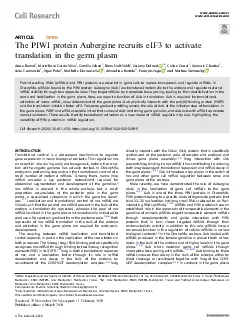 ThePIWIproteinAuberginerecruitseIF3toactivatetranslationinthegermplasm