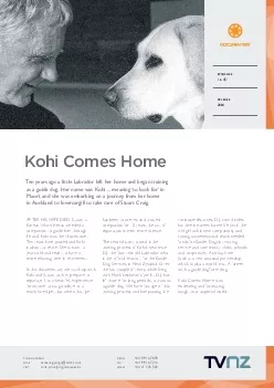 PDF-Kohi Comes HomeTen years ago a little Labrador left her home and began