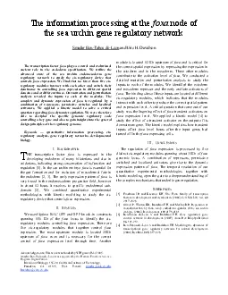 quantitative information processing cisregulatory analysis gene regul