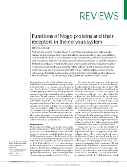 Nogo proteins were discovered and have been exten