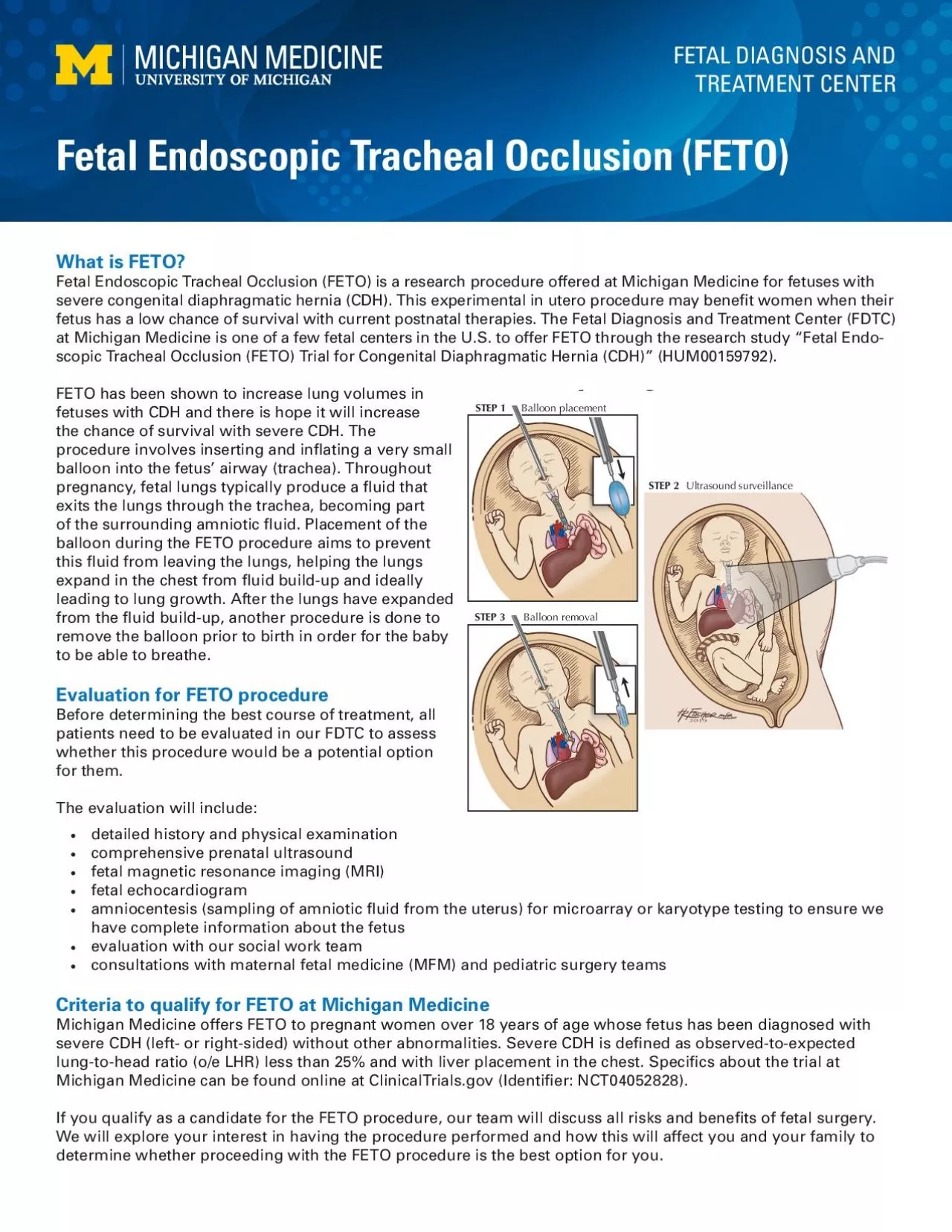 PDF-What is FETO