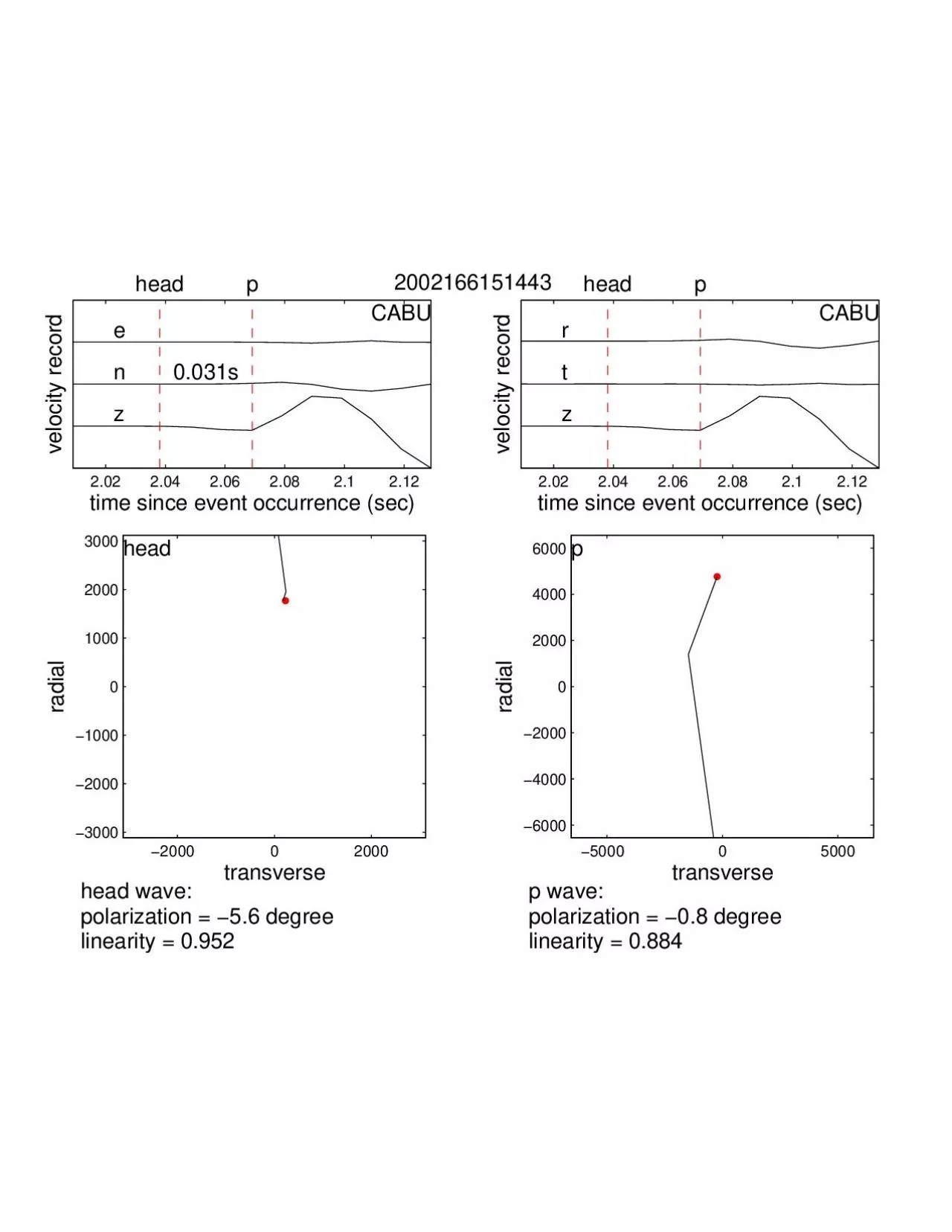 PDF-headtransverseradial