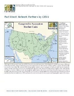 Fact Sheet Network Partners by CESU