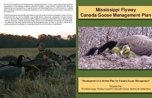 Mississippi Flyway Canada Goose Management Plan
