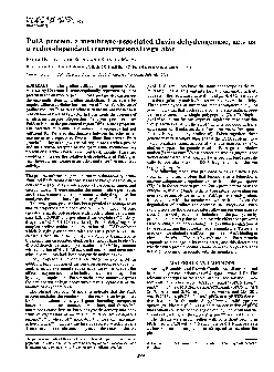 ProcNatlAcadSciUSAVol90pp42954298May1993BiochemistryPutAproteinamembr