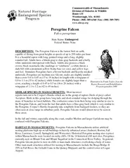 Peregrine Falcon Falco peregrinus State Status Endange