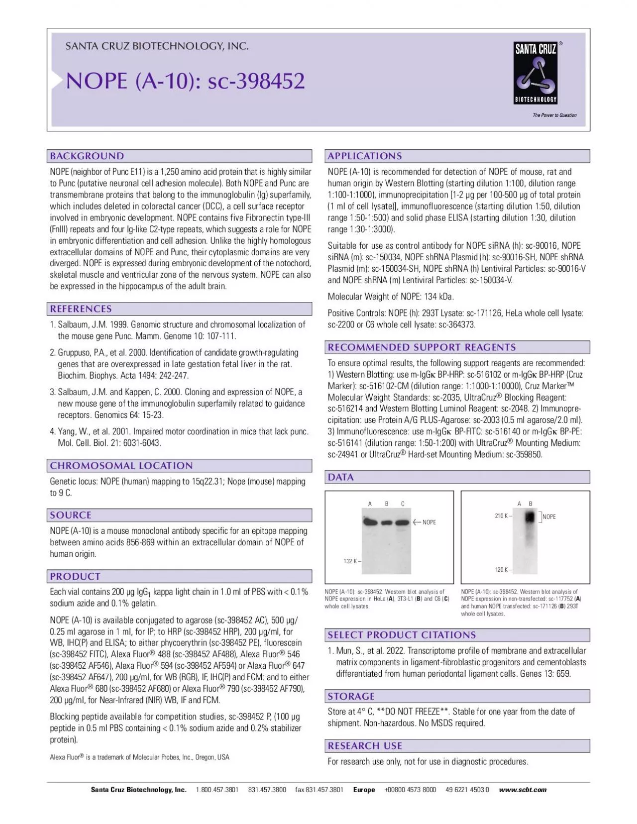 PDF-SANTA CRUZ BIOTECHNOLOGY INC