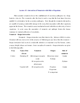 Interaction of Nematodes with Micro