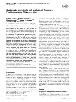 SystematicandsinglecellanalysisofPiwiinteractingRNAsandXiwiNelsonCLau