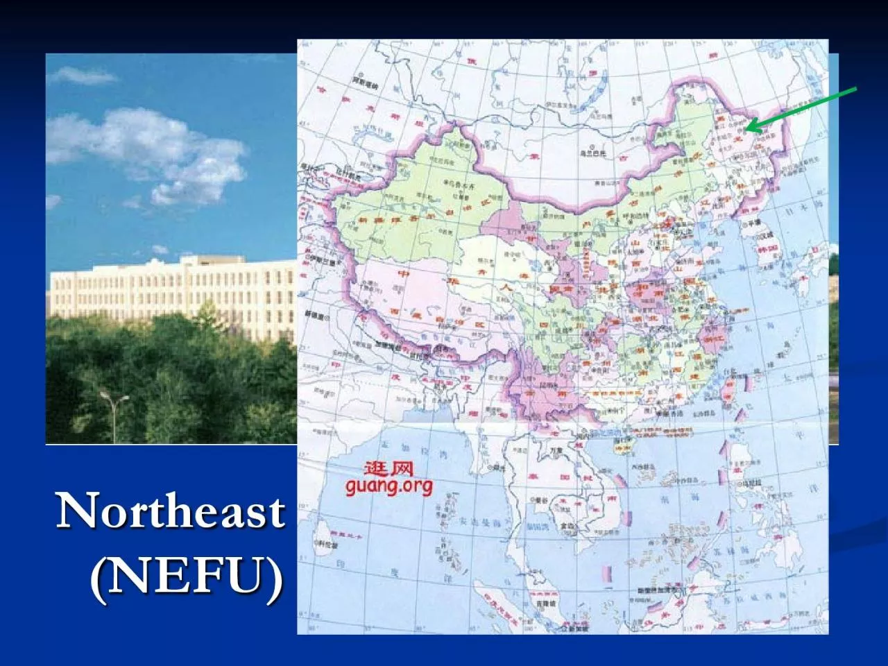 PDF-Northeast Forestry University NEFU