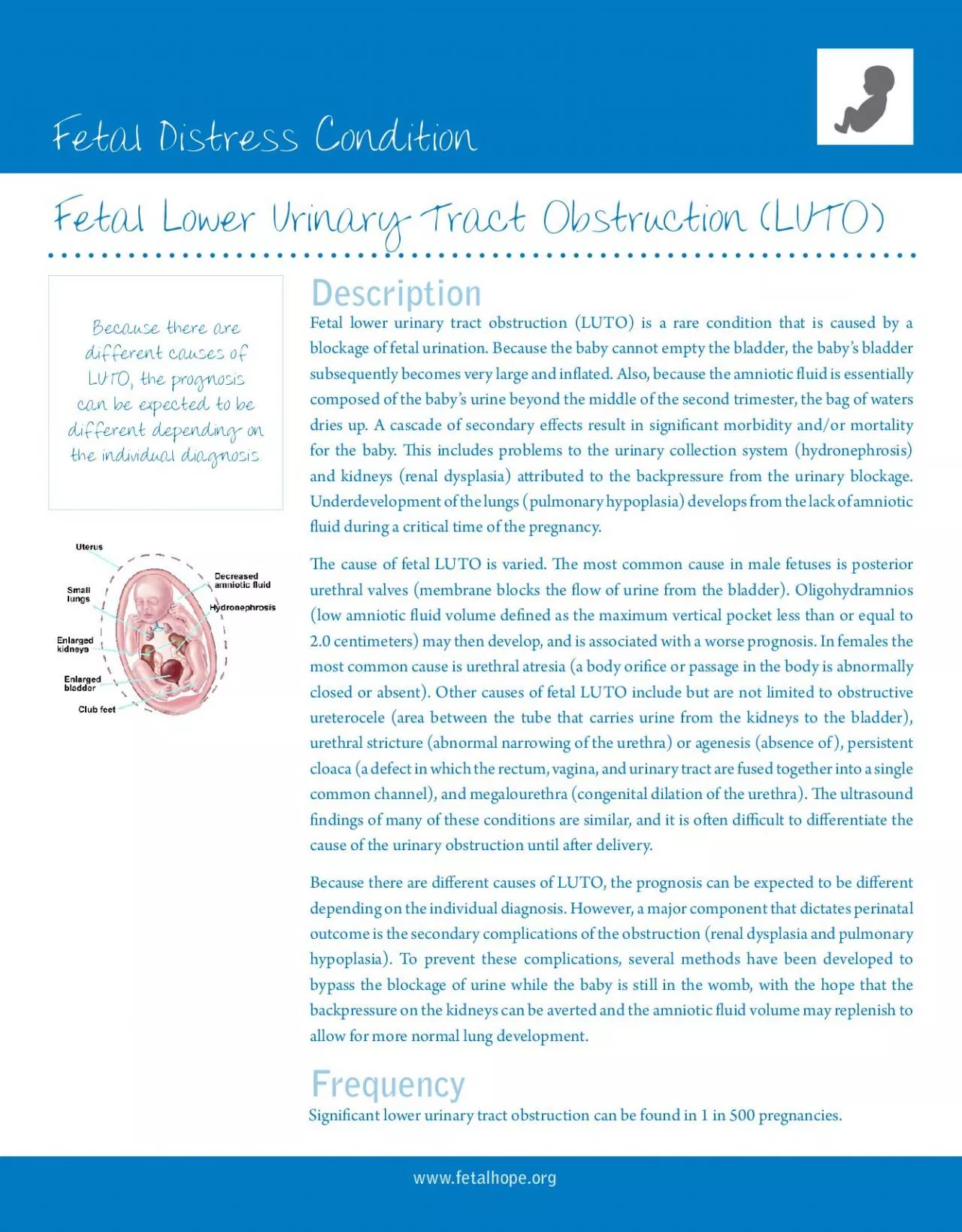 PDF-Fetal Distress Condition