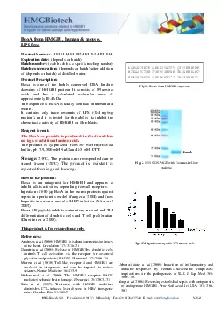 HMGBiotech Srl