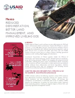 PDF-USAIDMX FACEBOOK