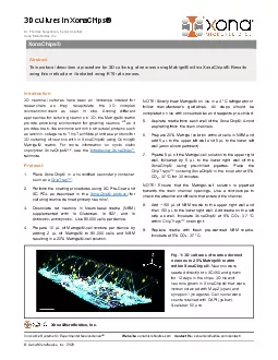 Xona Microfluidics Inc 2020