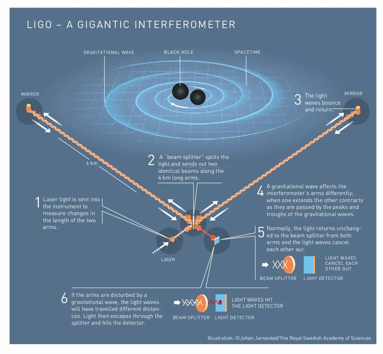 PDF-12SPACETIMEGRAVITATIONAL WAVEBLACK HOLE3456The light waves bounceand r