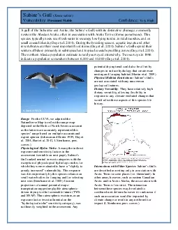 PDF-Sabine146s Gull