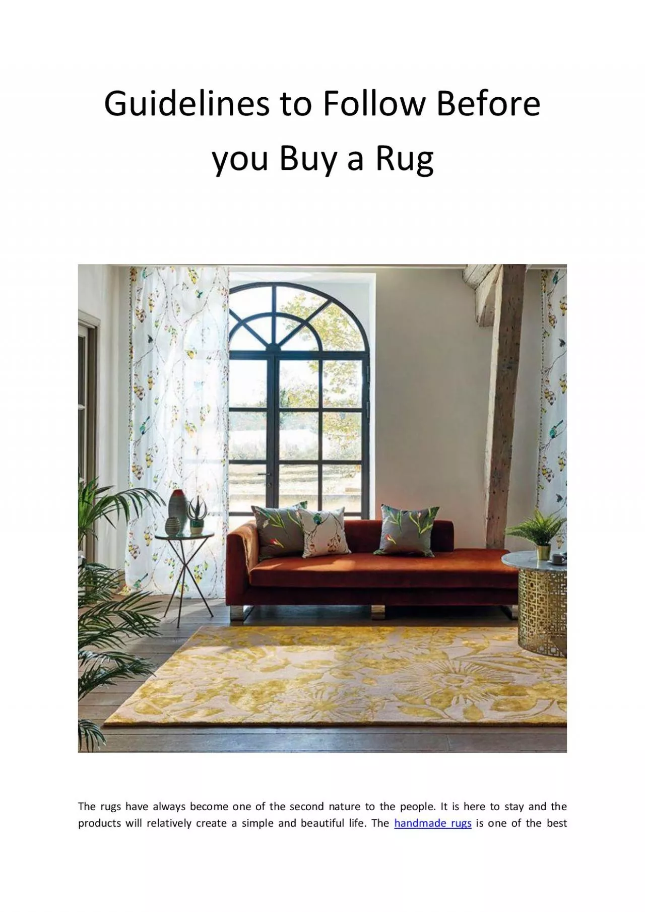 PDF-Guidelines to Follow Before you Buy a Rug