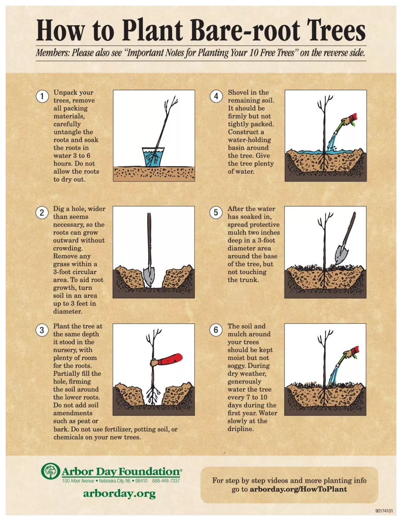 PDF-Heeling In Trees