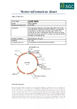 Vector information sheet