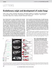 LETTERS Evolutionary origin and development of snake f