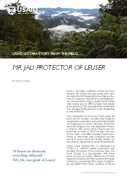 MR JALI PROTECTOR OF LEUSER