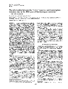 PDF-ProcNatlAcadSciUSAVol82pp85578561December1985GeneticsTherelationshipb