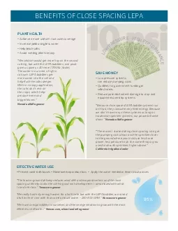 PLANT HEALTH149 Achieve a more uniform root zone coverage 149 Increase