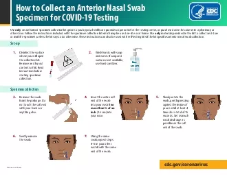 PDF-How to Collect an Anterior Nasal Swab