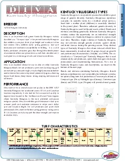 PDF-13963 Westside Lane Jeerson OR 97352 PH 541 9289999 FX 541 9