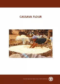 CASSAVA FLOUR