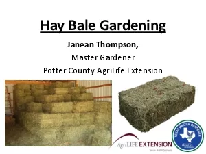 Hay Bale Gardening