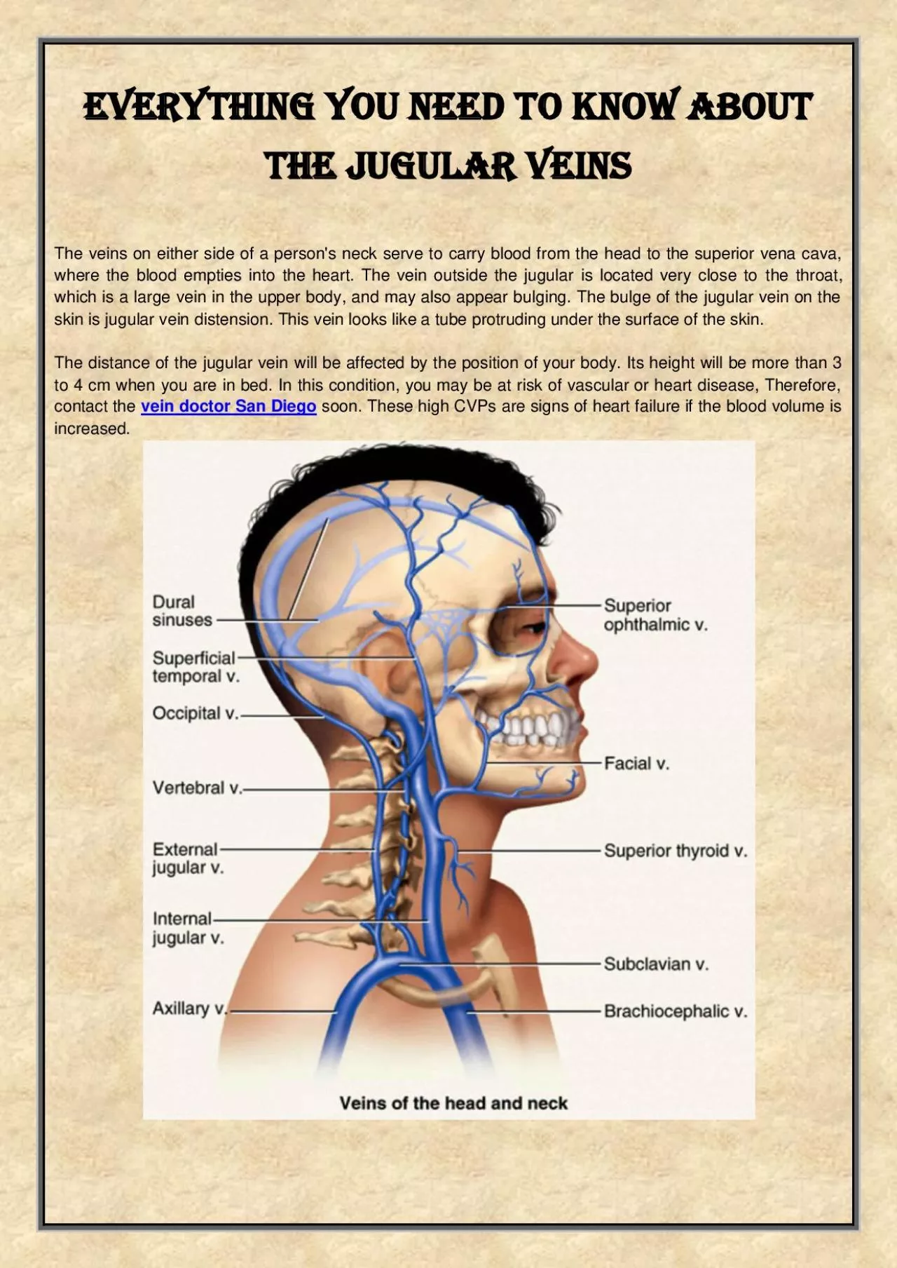 PDF-Everything you need to know about the jugular veins