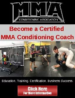 MMA Personal Trainer Certification and Business Plans
