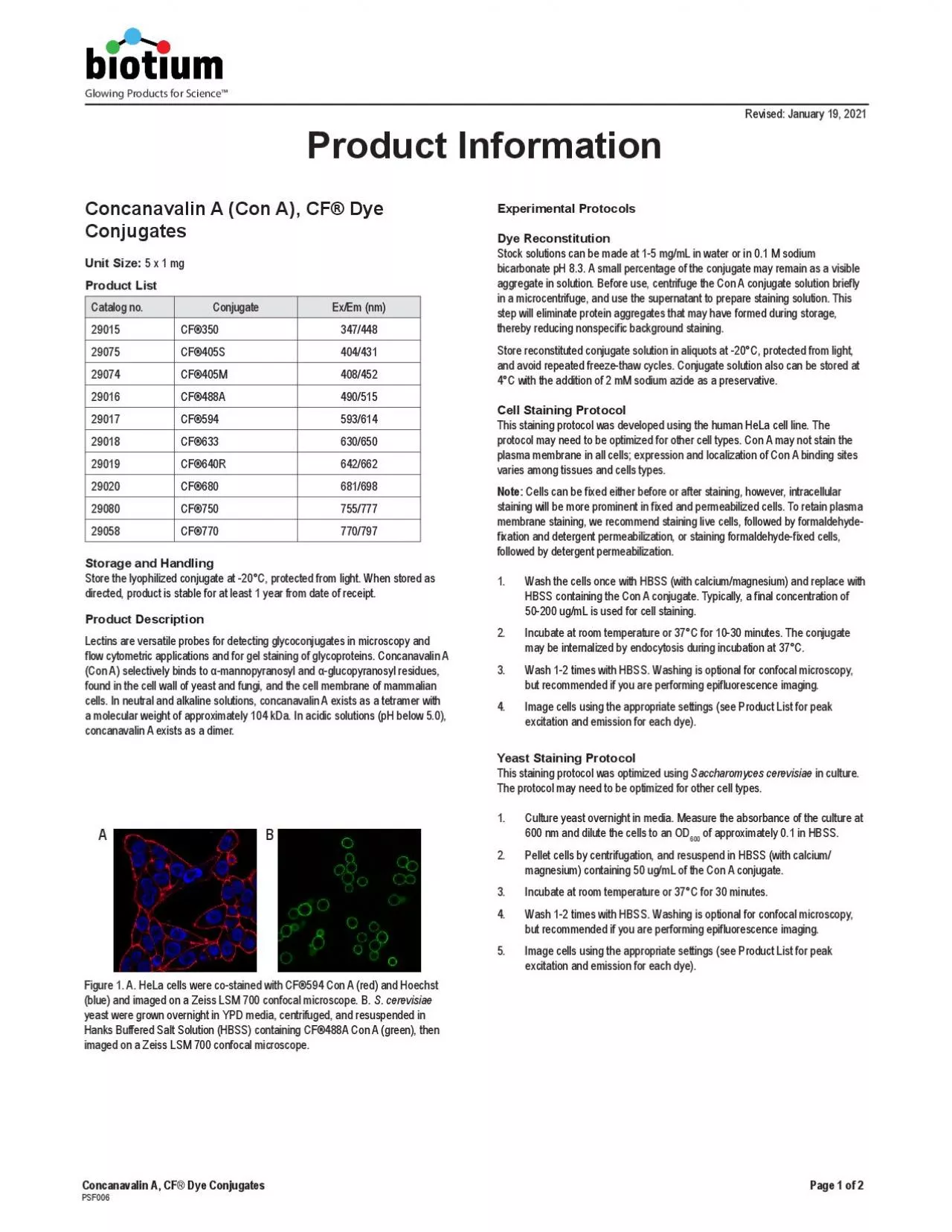 PDF-Concanavalin A CF Dye Conjugates