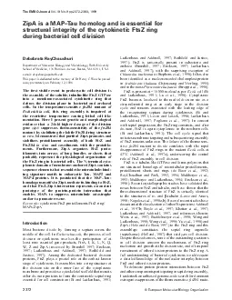 TheEMBOJournalVol18No9pp237223831999ZipAisaMAPTauhomologandisessential