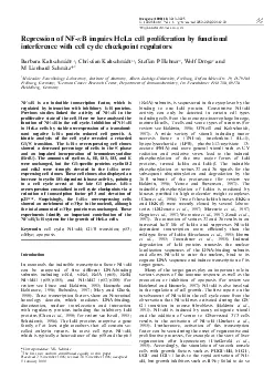 RepressionofNFkBimpairsHeLacellproliferationbyfunctionalinterferencew