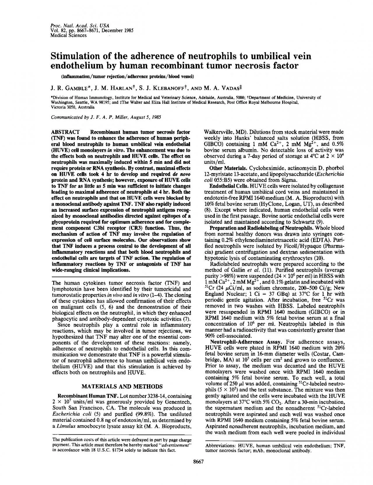 PDF-ProcNatlAcadSciUSAVol82pp86678671December1985MedicalSciencesStimulati