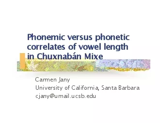 Phonemic versus phonetic