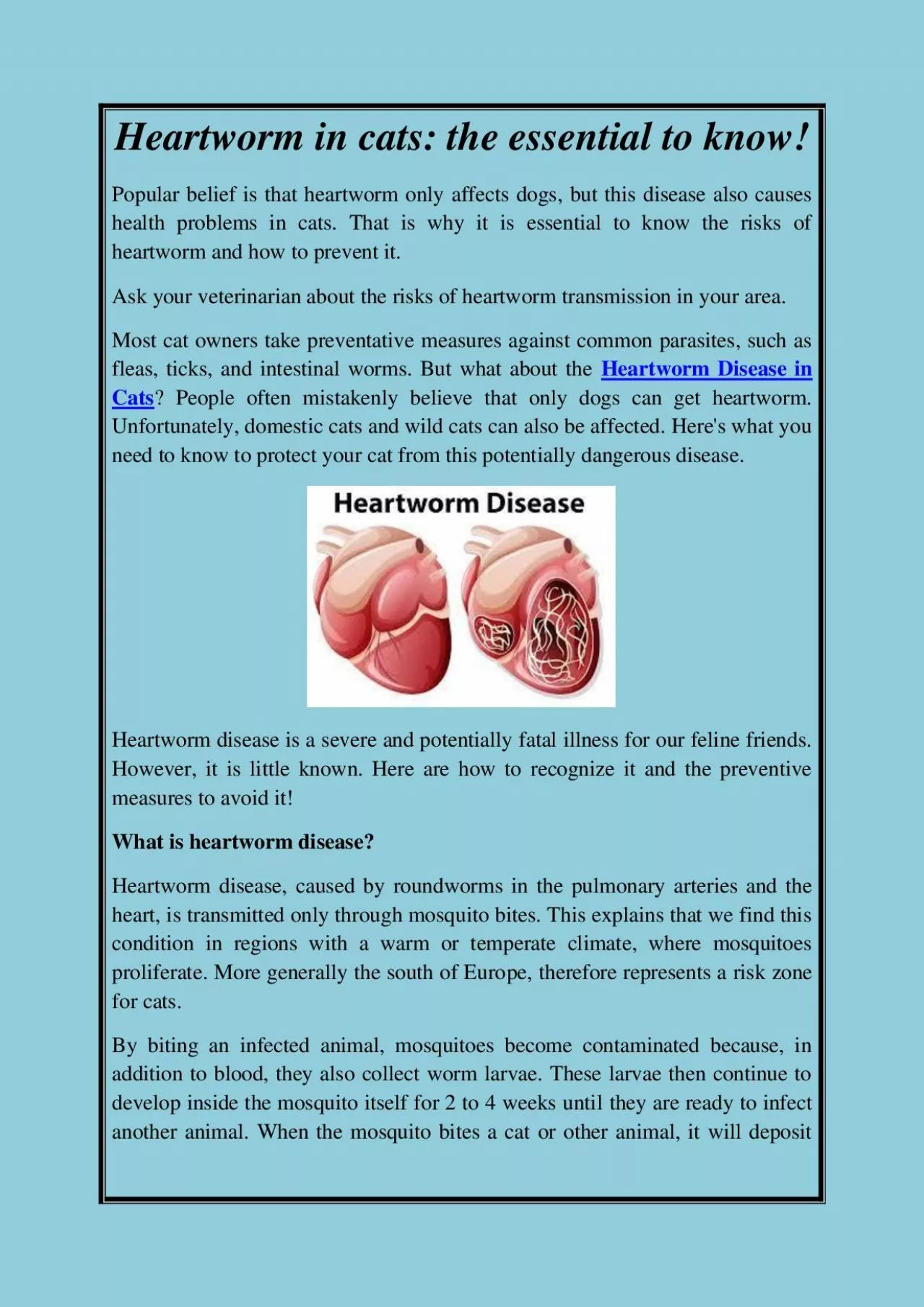 PDF-Heartworm in cats: the essential to know!