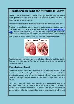 Heartworm in cats: the essential to know!