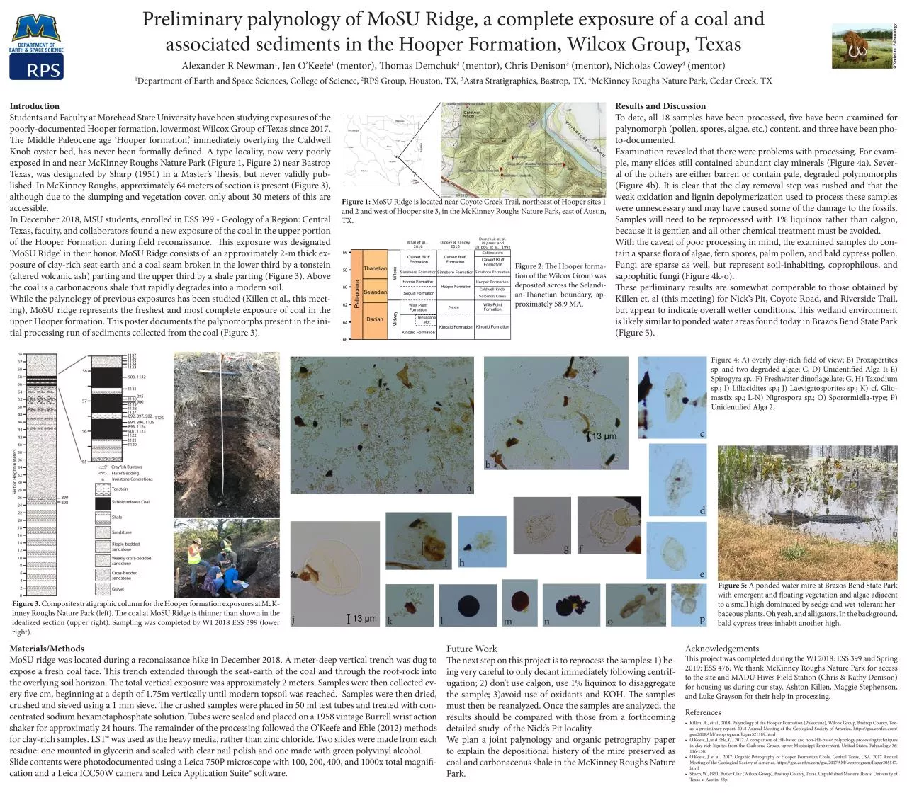 PDF-Preliminary palynology of MoSU Ridge a complete exposure of a coal and