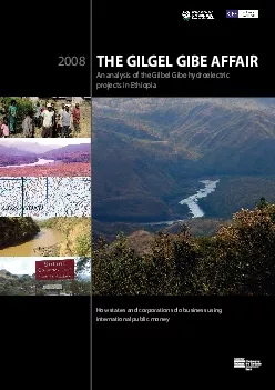 THE GILGEL GIBE AFFAIRAn analysis of the Gilbel Gibe hydroelectric pro