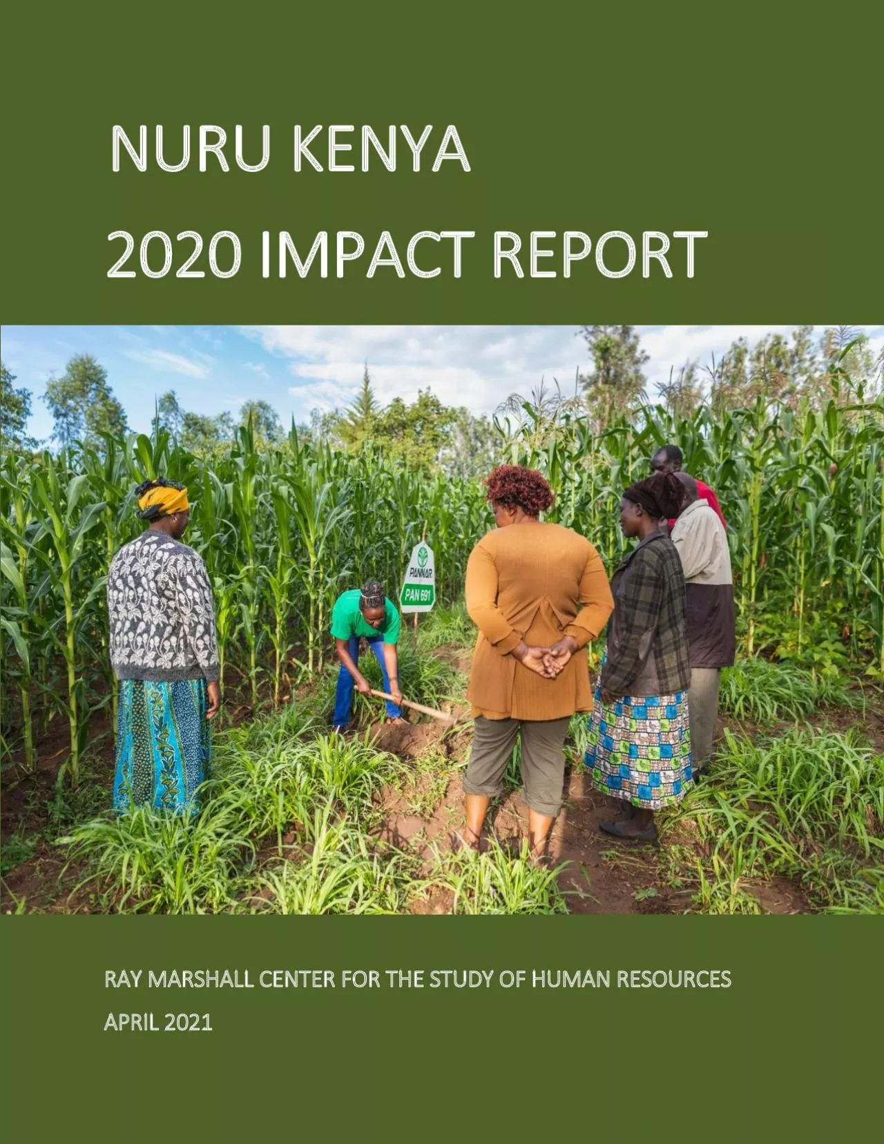 PDF-IMPACT REPORT