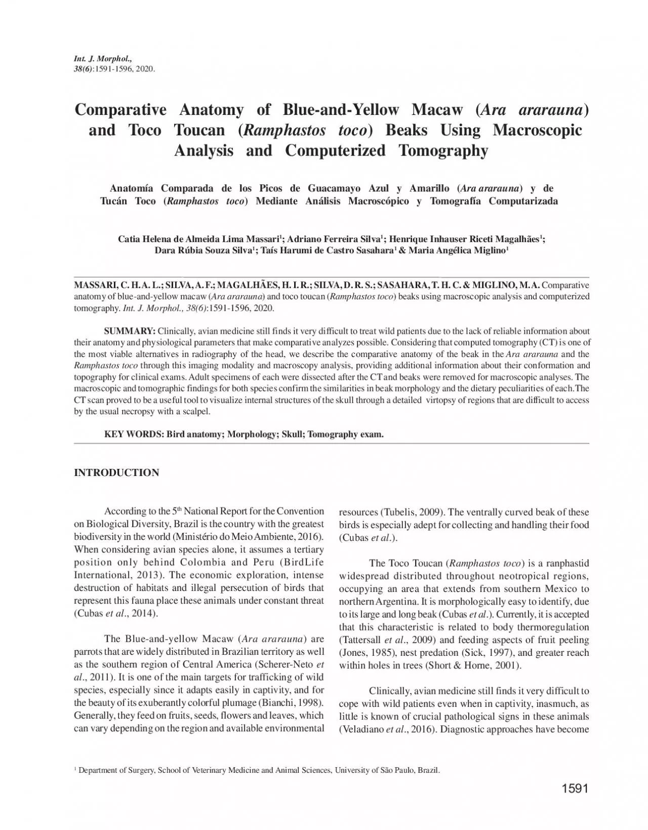 PDF-Comparative Anatomy of BlueandYellow Macaw Ara araraunaand Toco Touc