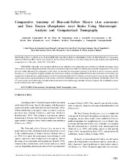 Comparative Anatomy of BlueandYellow Macaw Ara araraunaand Toco Touc