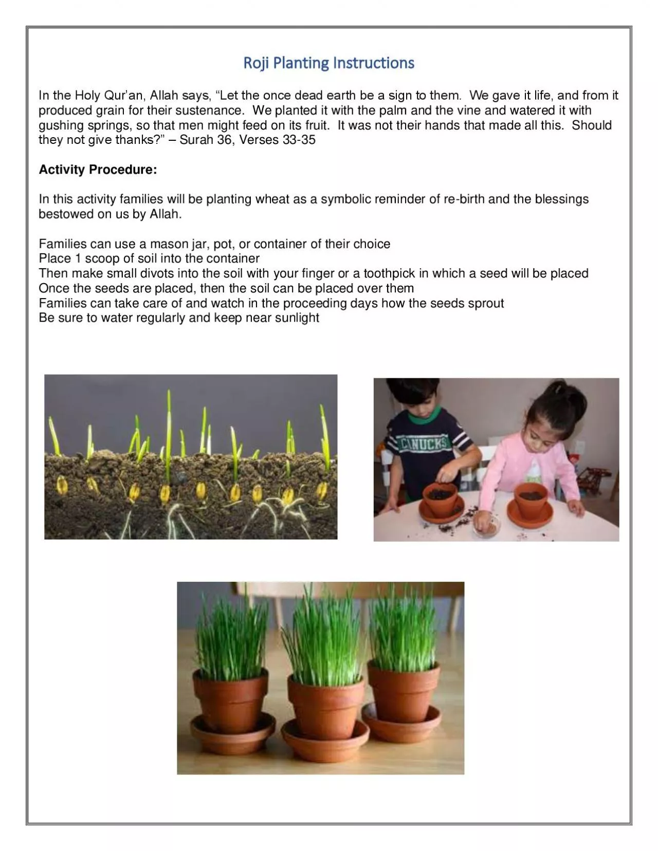 PDF-Roji Planting Instructions